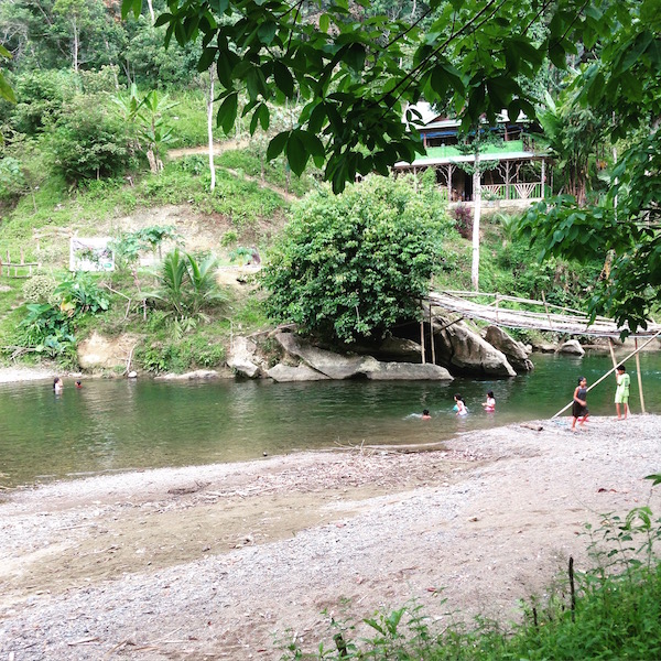Children_swimming_in_the_Bohorok_River