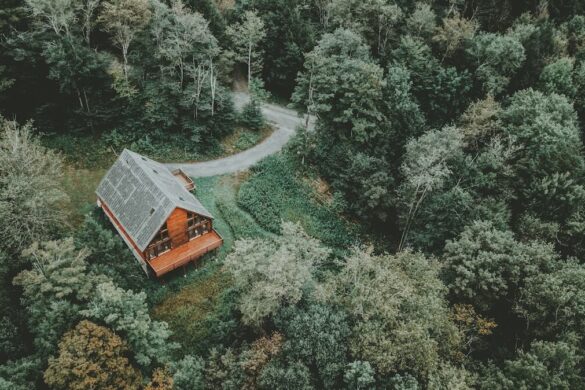 An image of a house in a forest